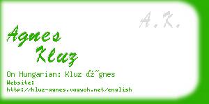 agnes kluz business card